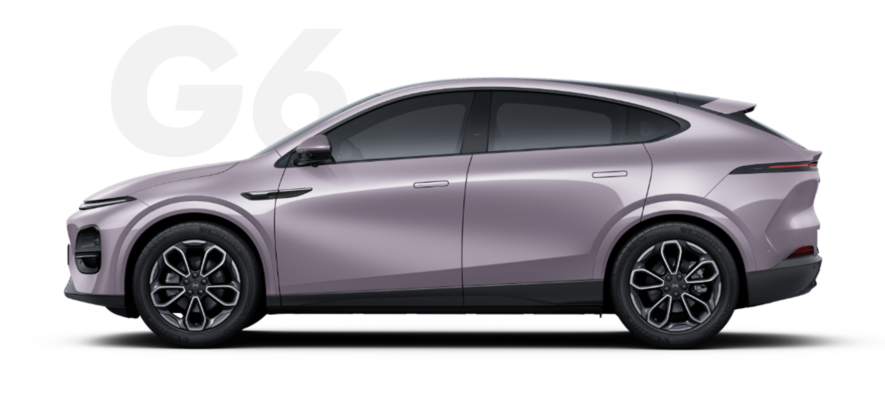 de5ac520-f222-4625-9fb6-795747c6de8a-purple